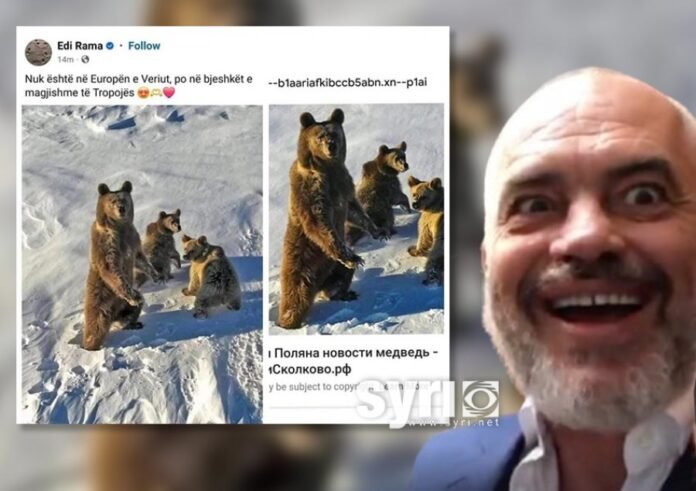 auto_sdg5sd5gs1730837606