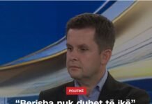 Strategji mbijetese politike e Alimehmetit, jo analizë racionale