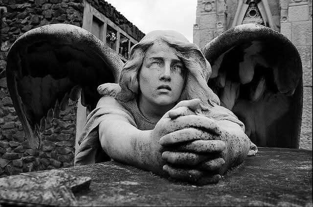 577048889_10238772525002676_1656347628146970560_n