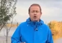 Politika e përgjegjshme dhe ajo përformative