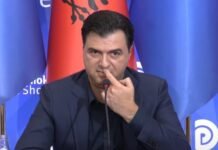 Lulzim Basha një mision i këputur, as karakter lideri, as guxim për të qënë i pavarur