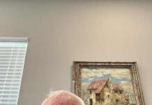 Ish-i përndjekuri politik Viktor Martini: Partia Demokratike ka njerëz me dinjitet, por udhëhiqet nga një kufomë politike