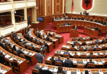 Në politikë, mbijetesa është fitore