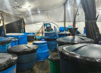 Shpërthim në një laborator kokaine, 9 të vdekur dhe 8 të plagosur! Si ndodhi ngjarja dhe çfarë u bë shkak