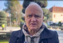 Semiotika moderne e muzikës, kuptimi i muzikës, poema për violinë e Tish Daisë