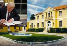 Pezullimi i vizave/ Edi Rama me 77 deputetë me suport Alex Soros e rrezikon mardhënien me administratën Donald J Tramp