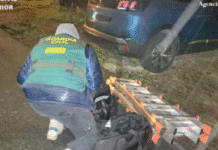 Mafia shqiptare kontrollon portin e Vigos, alarmohet Spanja; 10 ton kokainë në një vit