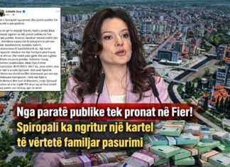 Nga paratë publike tek pronat në Fier: Spiropali ka ngritur një kartel të vërtetë familjar pasurimi