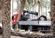 Shteti që nuk është në luftë, por sulmohet nga të gjithë