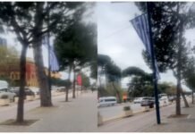 Sot Shqipëri-Poloni/ Përballje për ëndrrën e botërorit, në Tiranë valëviten flamujt grek