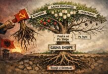 Si me ua pru shqiptareve me nji didaktike popullore problematiken e gjuhes shqipe… tane shprese se kjo e vertete ka me i ba te lire…