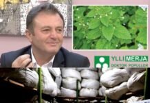 AKU bllokon 4 ton produkte bimore në Tiranë të Ylli Merjas, gjobë për ‘doktorin’ popullor