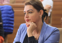 “Porta e Alpeve” apo porta e propagandës?