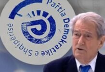 Spiralja e dobësimit të PD-së: Mbijetesë apo shuarje?