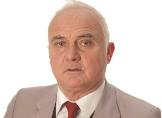 Lidhja muzike-pikture si dialog midis dy gjuheve artistike