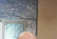 Baçali, kali i Gjergj Kastriotit dhe Shqipëria e lodhur nga lufta brenda llojit
