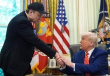 Zgjedhjet e mesmandatit në Amerikë, Elon Musk dhuron 276 milionë dollarë për të mbështetur Donald Trump
