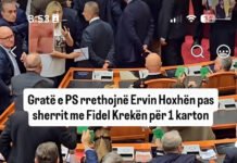 Nuk mund të vazhdohet më me një qeveri kriminale dhe me partinë e saj. Kjo qeveri duhet të largohet